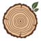 ikona